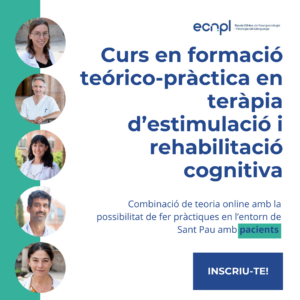 Curso de Formación Teórico-práctica en Terapia de Estimulación y Rehabilitación Cognitiva